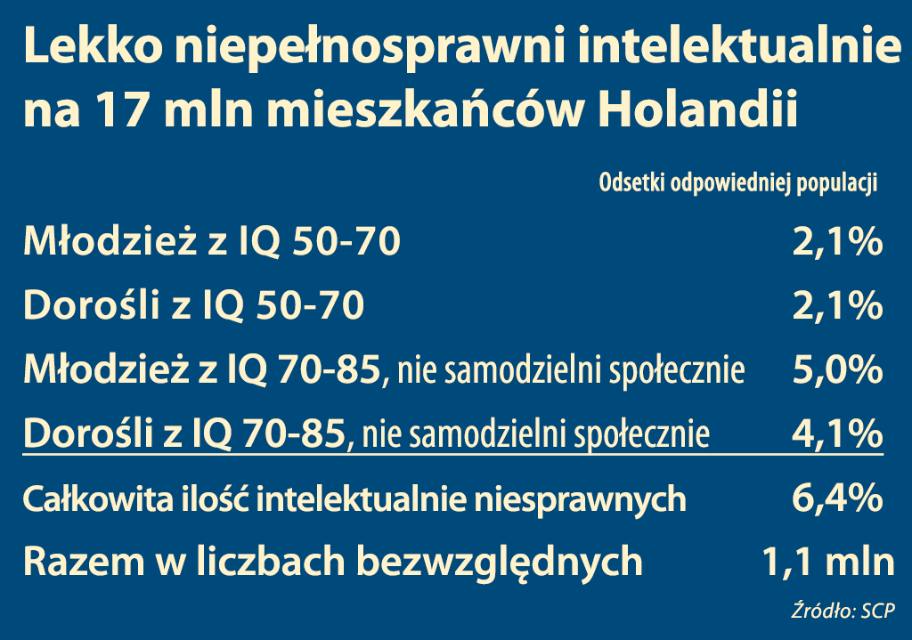 boś biedny i głupi