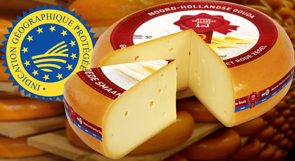 Ser Gouda