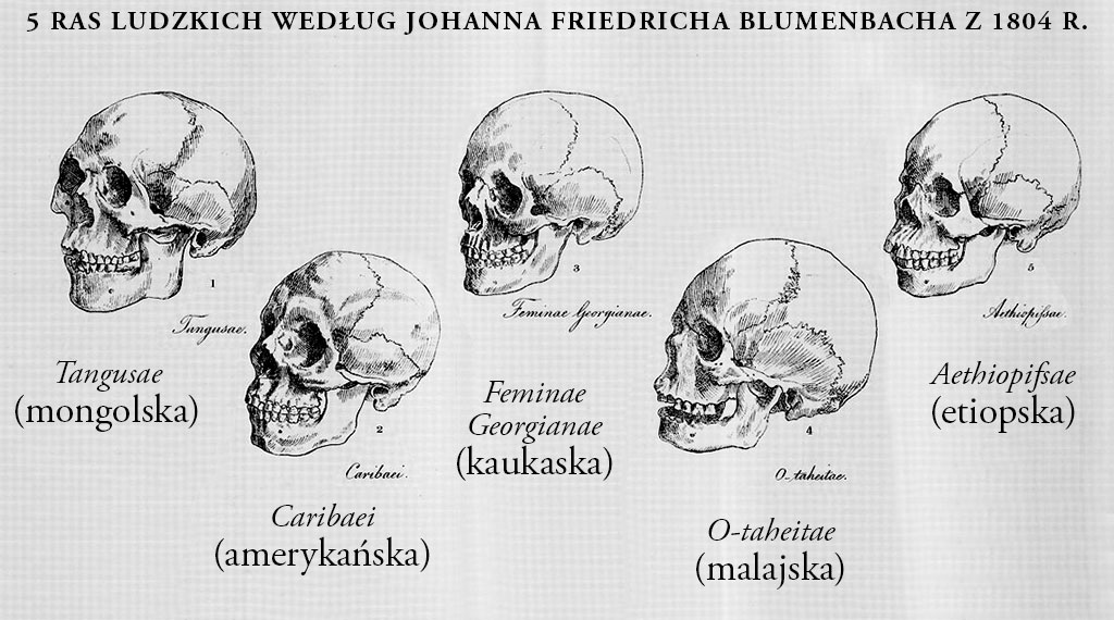 5 głównych ras człowieka 1804