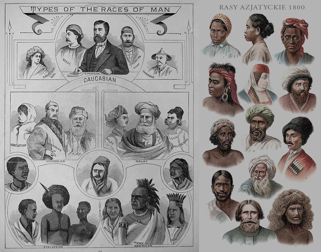 XIX-wieczna antropologia białego człowieka