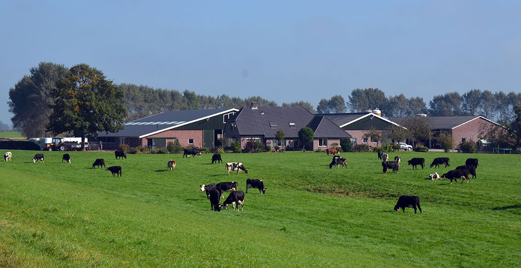 Holenderska zagroda rolna, farma