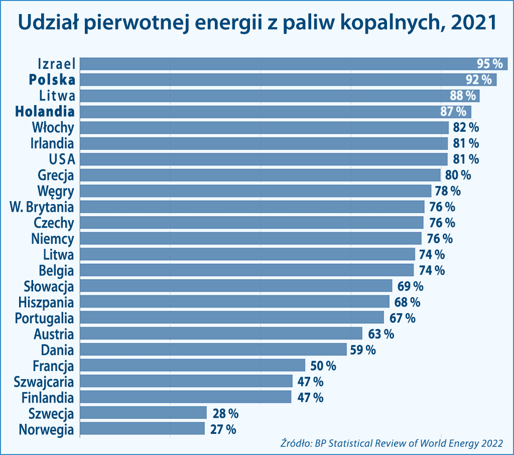 udział pali kopanych 2021