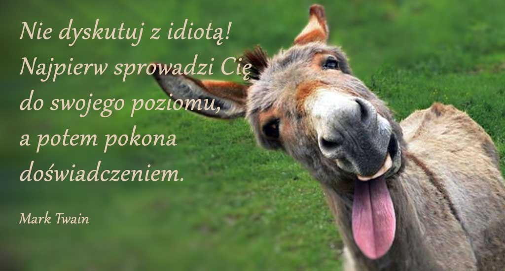 Głupota idiota