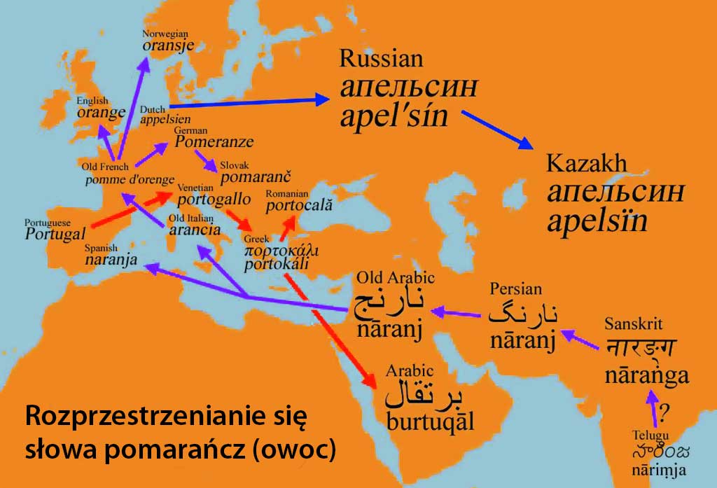 nazwa pomarańczy w Europie